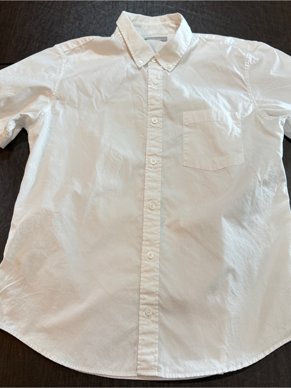 Everlane Menβs Short Sleeve White Button Down Short Sleeve Shirt Sz L